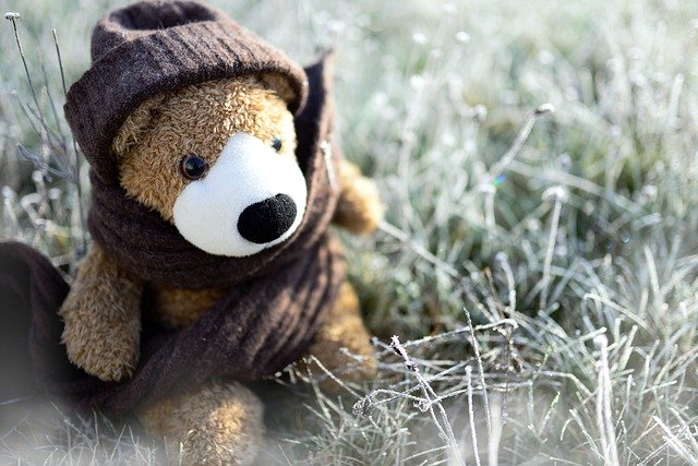 Teddy Teddy Bear Toys 