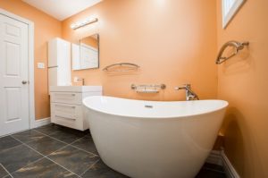 Bathroom Renovation Interior Design